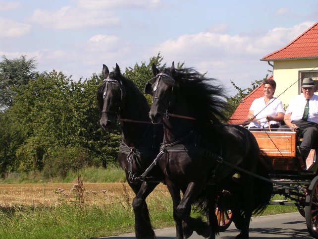 Datei:M.Fickert DSCN1193.jpg