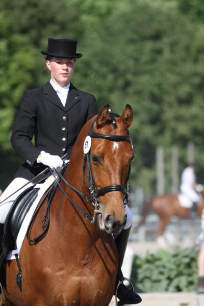 Datei:Reit- und Pensionsstall Muchau 3.jpg