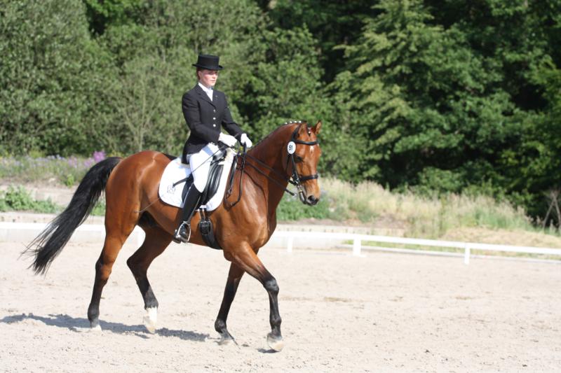 Datei:Reit- und Pensionsstall Muchau 2.jpg