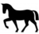 PZS-Pferd.jpg