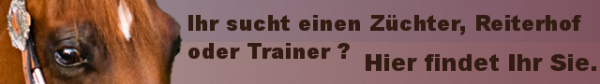 600px-PZS_Werbebanner_640.png