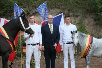 Welsh Pony Germany Schau 2013 2.jpg