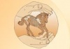 Vet-chiropraktik-fuer-pferde Logo.jpg