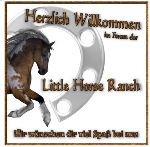 Littlehorseranch Start.jpg