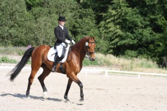 Reit- und Pensionsstall Muchau 2.jpg