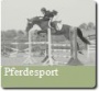 90px-Pferdesport_Button.jpg