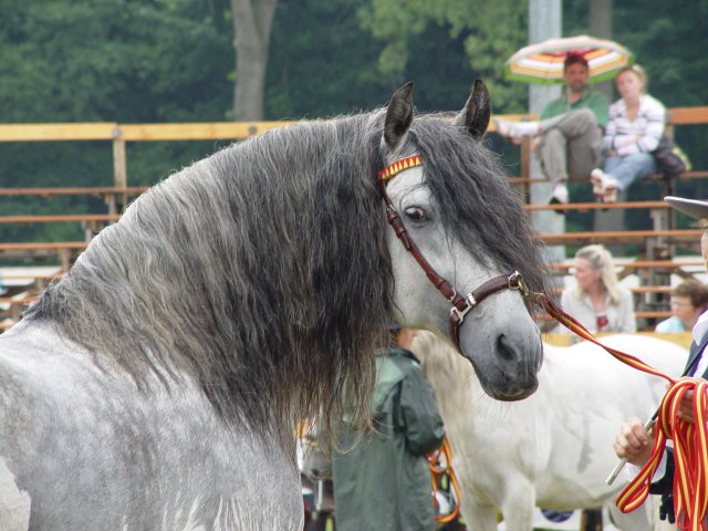 Datei:Fuente-de-esperanza DSC03248.jpg