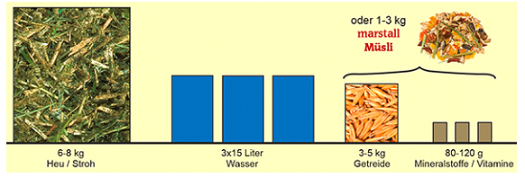 Marstall Futtermengen.png