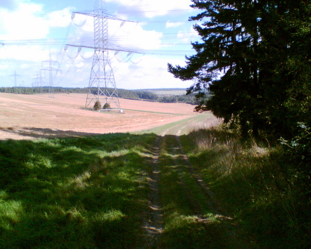 Datei:RH Scholz Riechheimer 013.jpg