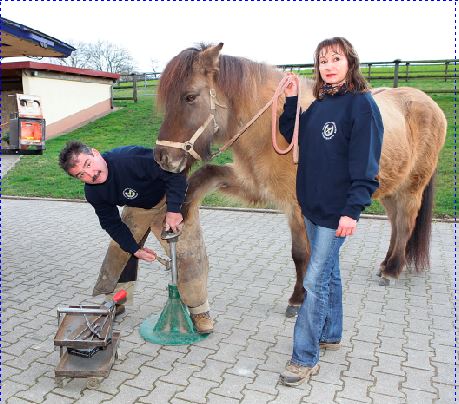 Datei:Hufschmied Udo Niederhaus.jpg