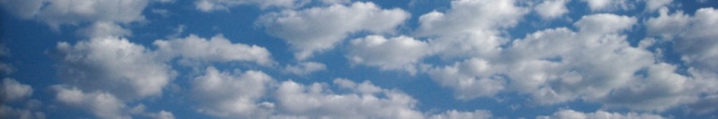 Datei:Banner Gestüt Wolkenhof.jpg