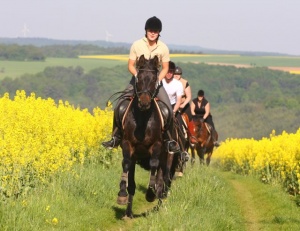 Ferienhof-trunk Ausritt Raps.jpg