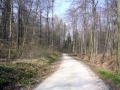 RH Scholz Riechheimer 009.jpg