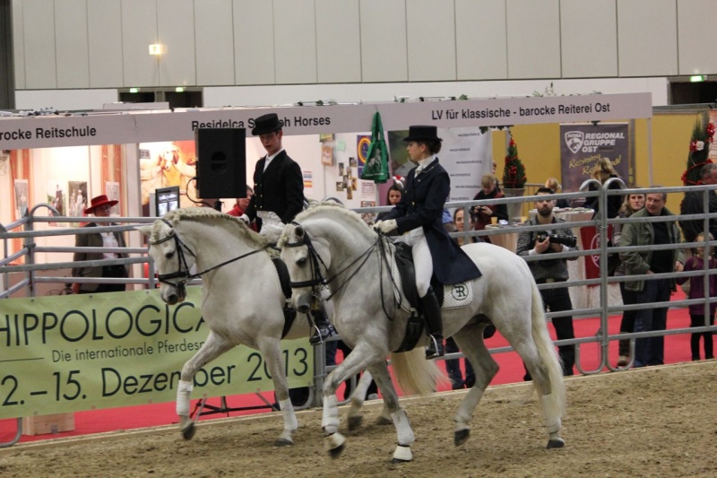 Datei:PRE Zucht Yeguada Dubkow 3.jpg