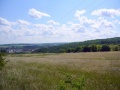 RH Scholz zum Wald 04.jpg