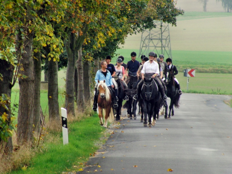 Datei:Ada-gestuet-HJ2014 5.jpg