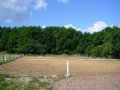 RH Scholz 005.jpg