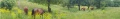 Vorschaubild der Version vom 10:50, 12. Jun. 2015