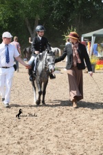 Welshponygermanyshow Gestüt Frankenhöhe 2013 3.jpg