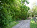 RH Scholz zum Wald 02.jpg